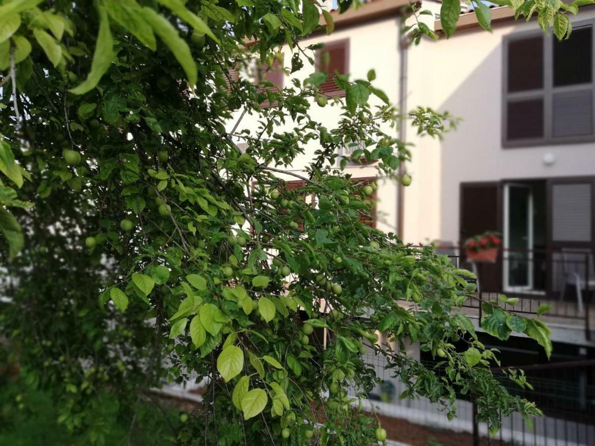 Family Apartment Ingrid Pula Bagian luar foto